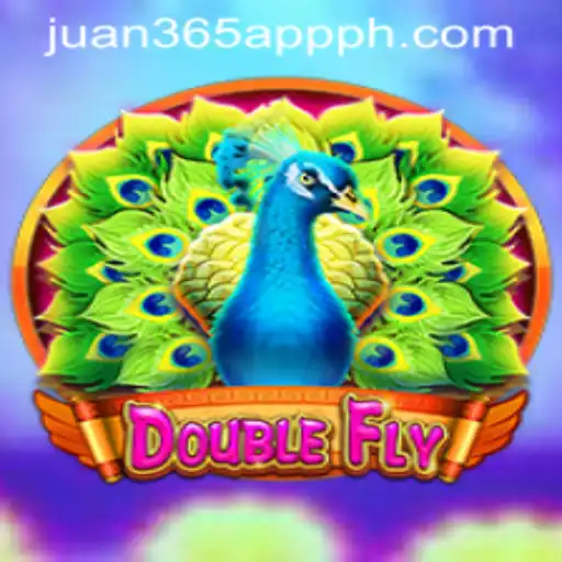 Discover the Excitement of DoubleFly: A Comprehensive Guide
